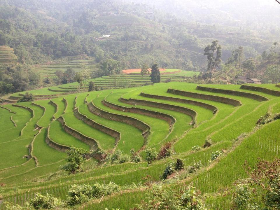 Ngan Nga Bac Ha Hotel Luaran gambar